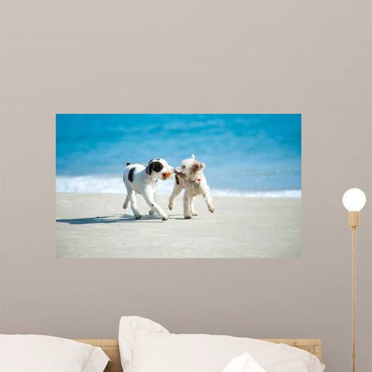 Spielende Hunde Am Strand Wall Decal