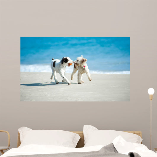 Spielende Hunde Am Strand Wall Decal