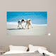 Spielende Hunde Am Strand Wall Decal