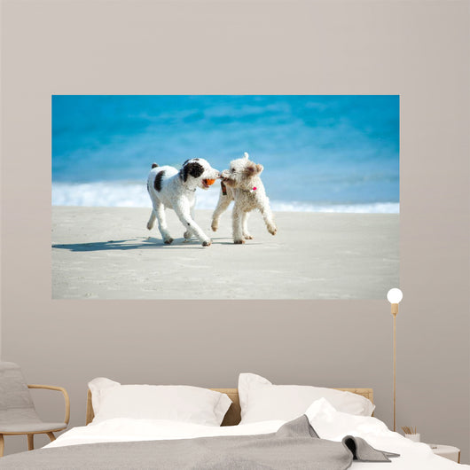 Spielende Hunde Am Strand Wall Decal