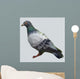 Polygon Pigeon Wall Decal
