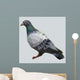 Polygon Pigeon Wall Decal