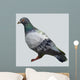 Polygon Pigeon Wall Decal