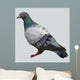 Polygon Pigeon Wall Decal