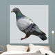 Polygon Pigeon Wall Decal