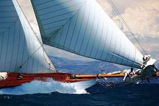 Sea Harbor Regatta Sailboats Wall Decal