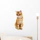 Portrait Red Cat White Wall Decal
