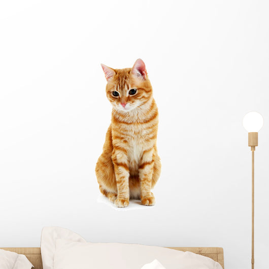 Portrait Red Cat White Wall Decal