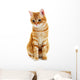 Portrait Red Cat White Wall Decal
