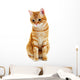 Portrait Red Cat White Wall Decal