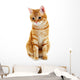 Portrait Red Cat White Wall Decal
