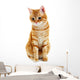Portrait Red Cat White Wall Decal