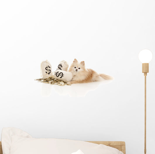 Expensive Pet Wall Decal