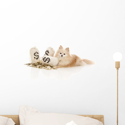 Expensive Pet Wall Decal