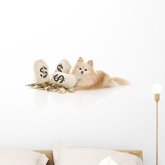 Expensive Pet Wall Decal