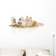 Expensive Pet Wall Decal