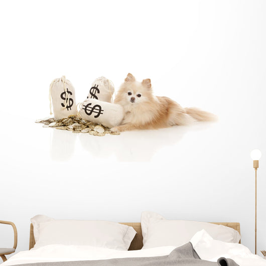 Expensive Pet Wall Decal