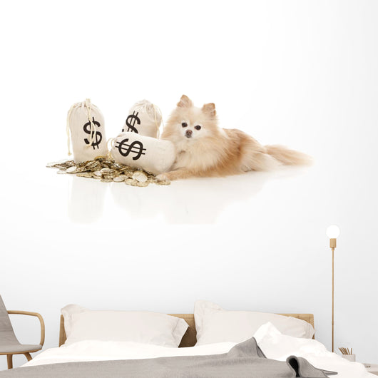 Expensive Pet Wall Decal