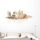 Expensive Pet Wall Decal