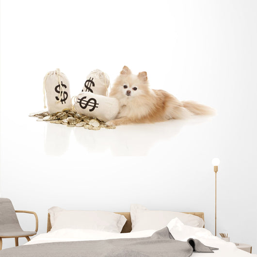 Expensive Pet Wall Decal