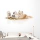 Expensive Pet Wall Decal