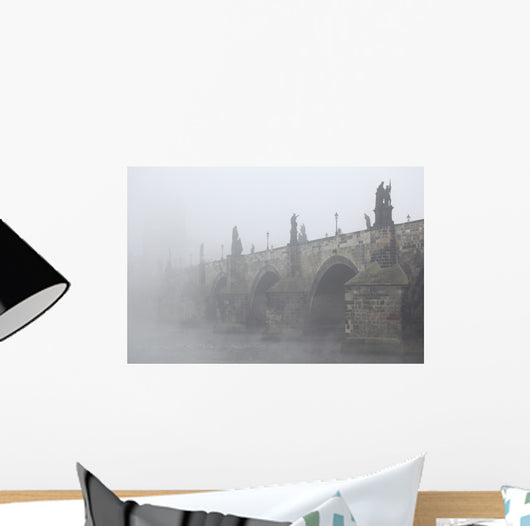 Morning Fog over Charles Wall Decal