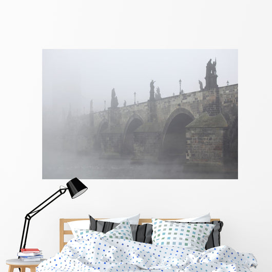 Morning Fog over Charles Wall Decal