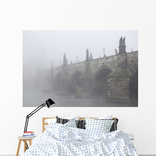 Morning Fog over Charles Wall Decal