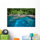 Tropical Island and Coral Wall Decal