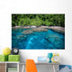 Tropical Island and Coral Wall Decal