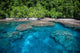 Tropical Island and Coral Wall Decal