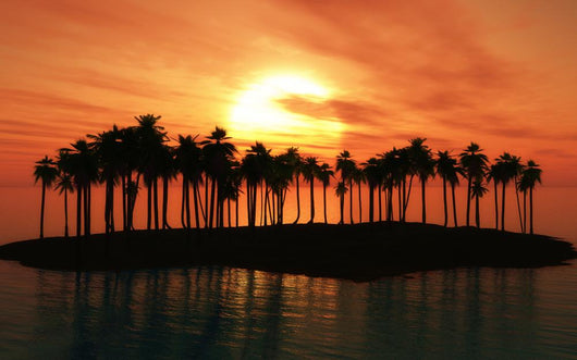 Palm Tree Island Sunset Wall Decal