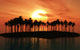 Palm Tree Island Sunset Wall Decal