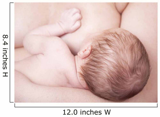 Close-up Newborn Baby Breastfeeding Wall Decal