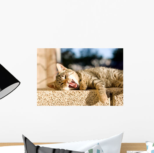 Brown Tabby Kitten Lying Wall Decal