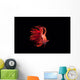 Fighting Fish Beautiful Betta Wall Decal