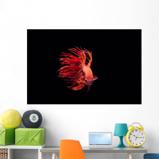 Fighting Fish Beautiful Betta Wall Decal
