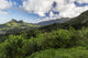 Mountains along Pali Highway Wall Decal