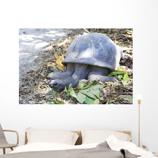 Aldabra giant tortoise in island Curieuse. Wall Mural