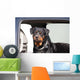 Rottie Truck Wall Decal