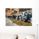 Moderner Rindviehstall Holstein-friesian Rinder Wall Decal