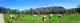 Cows Meadow Wall Decal