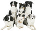 Schwarzweisse Hundegruppe Wall Decal