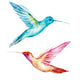 Watercolor Colibri Bird Wall Decal Design 1