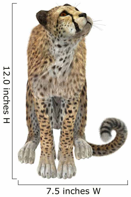 Cheetah Wall Decal Design 3