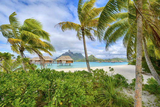 White Sand Beach Polynesia Wall Decal