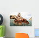 Sea Lion Rocky Formation Wall Decal