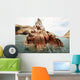Sea Lion Rocky Formation Wall Decal