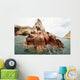 Sea Lion Rocky Formation Wall Decal