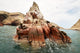 Sea Lion Rocky Formation Wall Decal